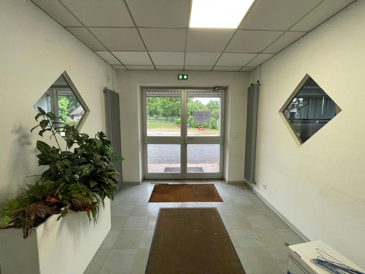 Local d'activité Bischwiller 2700m² Vente local d'activité Bischwiller Bas-Rhin OVACT2533127 5